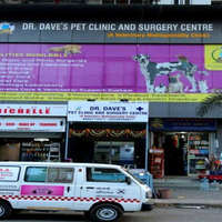 Dr dave hot sale pet clinic